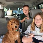 Meghan Mclain - Instagram Profile Picture of Meghan Mclain (@meghan.mclain) on Instagram
