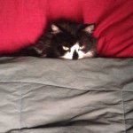 Profile Picture of kevin barker (@kwkbarker) on Instagram