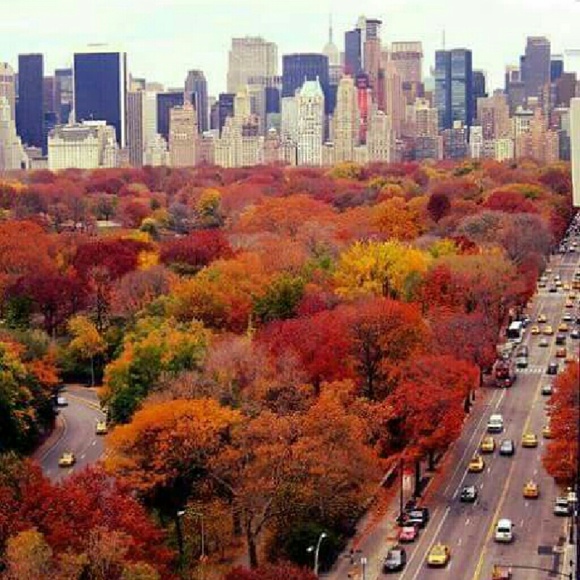 Profile Picture of Athena Baisden (@paris718) on Poshmark