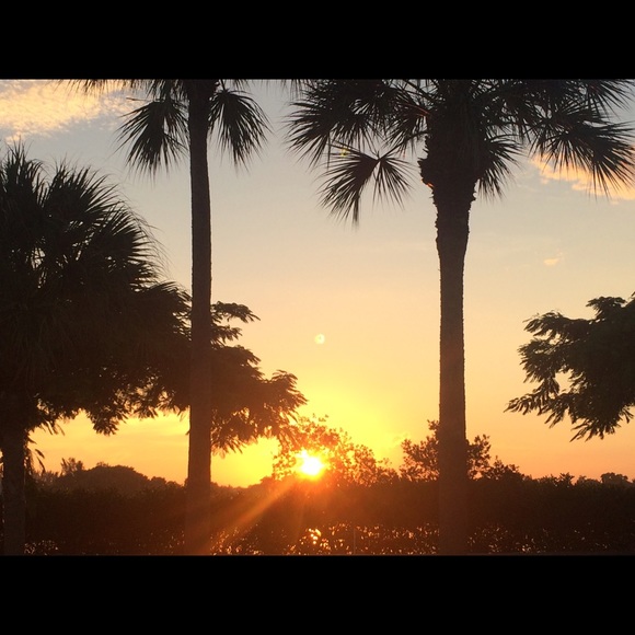 Profile Picture of Alessandra Foglietta (@alessandrafog) on Poshmark