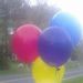 Profile Picture of Dee Tuttle (@dtuttle57) on Pinterest
