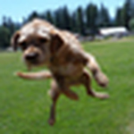 Profile Picture of John Wagner (@cordesign1) on Flickr