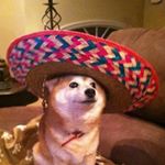 Profile Picture of Tyler Tilton (@tyler_t_0519) on Instagram