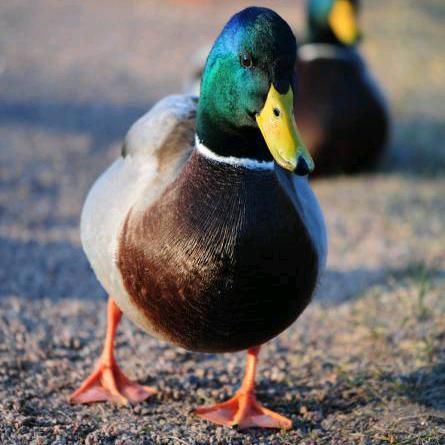 Profile Picture of LucTrudel (@estelempbb1) on Tiktok