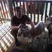 Profile Picture of William Strozek (@william.strozek) on Facebook