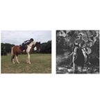 Profile Picture of Chloe Evans+Sidney Foreman🐴 (@bruno.cody.harley) on Instagram