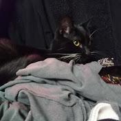 Profile Picture of Andrew Golden (@andrewgolden2317) on Youtube