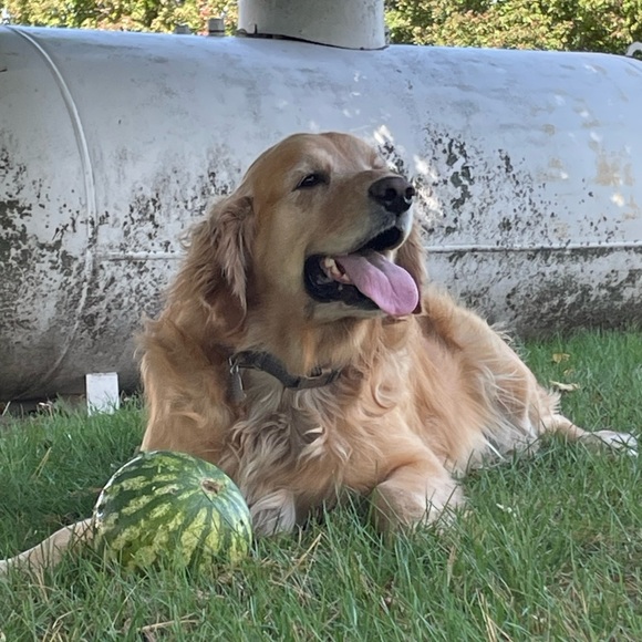 Profile Picture of Matthew Spear (@spearmatt55) on Poshmark