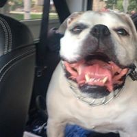 Profile Picture of Joey Ricely (@joey-ricely) on Quora