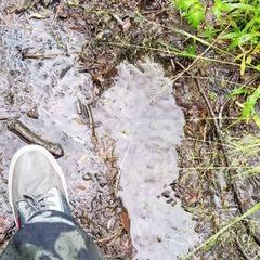 Profile Picture of tim (@timdills13) on Tiktok