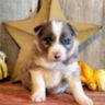 Profile Picture of Thaddeus Longmire (@thlon28) on Pinterest