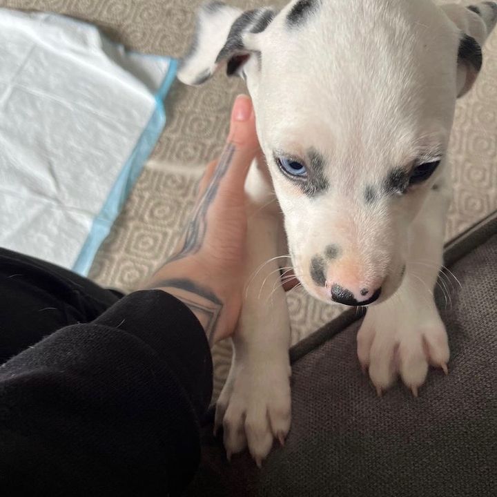 NANCY BRICK💕❤️ - Tiktok Profile Picture of NANCY BRICK💕❤️ (@nancybrick3) on Tiktok