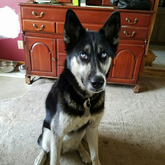 Profile Picture of Melissa Greist (@rahura74) on Poshmark