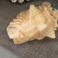 Profile Picture of Nicholas Covino (@nicholas-covino-1) on Quora