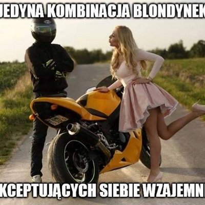 Profile Picture of Adam Błachowicz (@adam_wariat) on Twitter