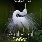 Profile Picture of Severa Avalos (@severa.avalos.1) on Facebook