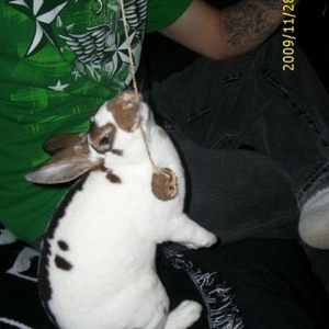 Profile Picture of Adam Hotaling (@knockworth) on Myspace