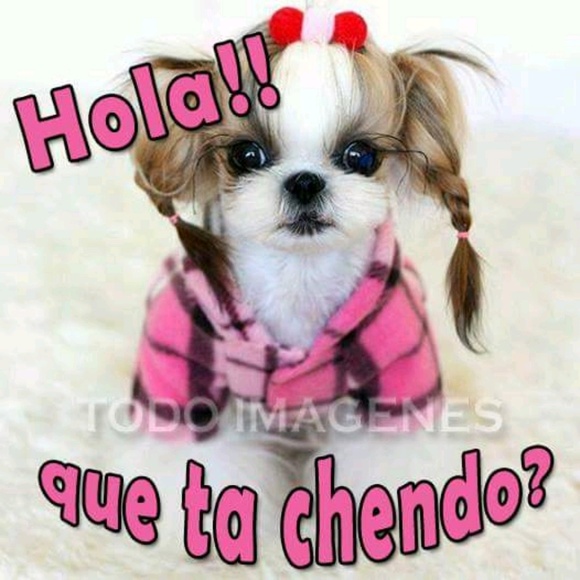 Profile Picture of Rocio Bracamontes (@r69) on Poshmark