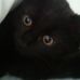 Profile Picture of Nibbler Marshall (@nibbler.marshall) on Facebook