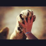 Nawal - Instagram Profile Picture of Nawal (@nawalmhashim) on Instagram