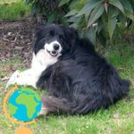 Profile Picture of Wayne Broad (@annebroad) on Instagram