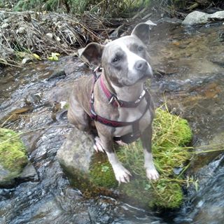 Penny Winkler - Facebook Profile Picture of Penny Winkler (@Penny-Winkler) on Facebook