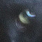 Profile Picture of robert barry (@robertbarry735) on Flickr