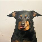 Profile Picture of Joshua Garnish (@joshuagarnish77) on Facebook