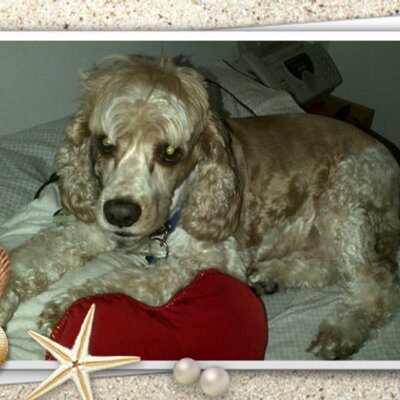 Profile Picture of Mirtha Suarez (@mirthasuarez) on Twitter