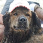 Profile Picture of Jorge Mendes (@anabela_jorge_m) on Instagram