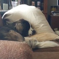 Profile Picture of Michael J Massey (@max2735) on Twitter