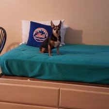 Profile Picture of Debra Boyce (@DebraBoyce11) on Twitter