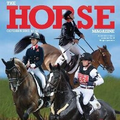 Profile Picture of Christopher Hector (@cihector) on Twitter