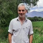 Profile Picture of David Pillet (@davidluispillet) on Instagram