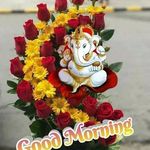 Profile Picture of cocli_ff (@cocli_ff) on Instagram