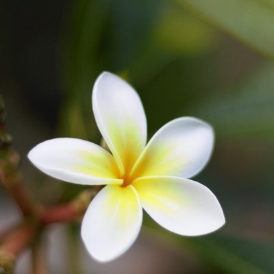 Profile Picture of Deb Dools (@DebbieDoolan4) on Twitter