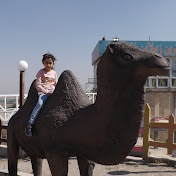 Profile Picture of David Karimi (@davidkarimi8691) on Youtube