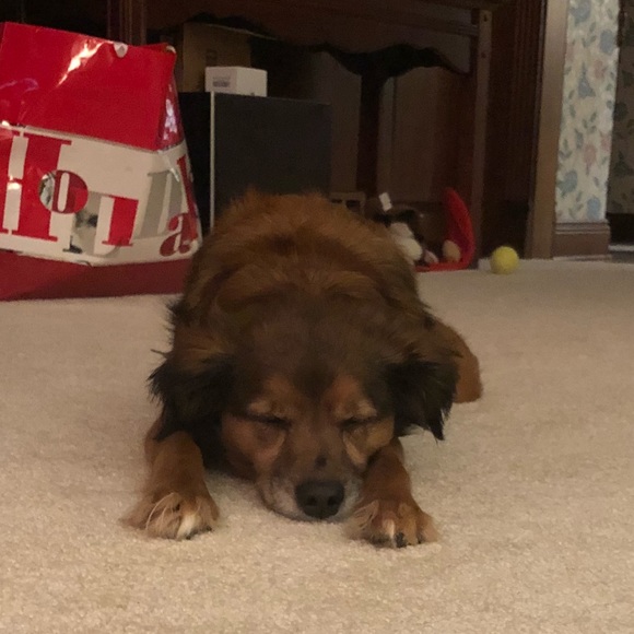 Profile Picture of Jillian Pfeifer (@jill2105) on Poshmark