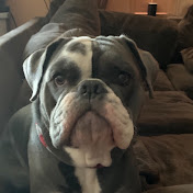 Profile Picture of Dustin Weber (@dustinweber7274) on Youtube