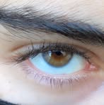 Profile Picture of Hokar Hawlery (@kura.xoshnaw.148053) on Facebook
