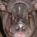 Profile Picture of Eric Bratcher (@eric.bratcher.90) on Facebook
