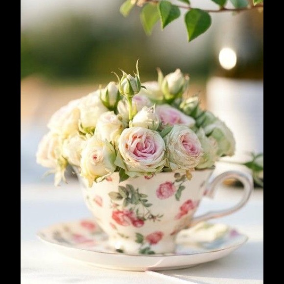 Rasa Pofahl - Poshmark Profile Picture of Rasa Pofahl (@pofrasa) on Poshmark