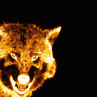 Profile Picture of James Delora (@FlamingWolf18) on Twitter
