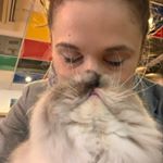 Profile Photo of Katie Charles-Richards (@thekittycafefamily) on Instagram