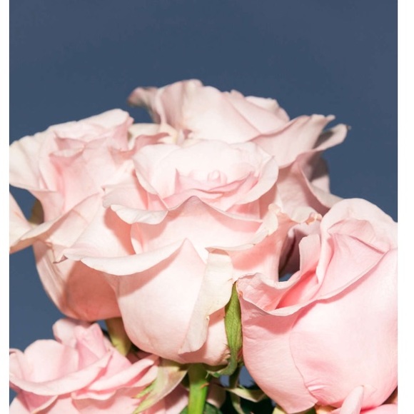 Bree Huott - Poshmark Profile Picture of Bree Huott (@breemykayla) on Poshmark