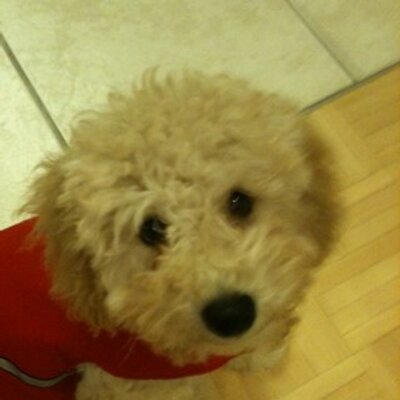 Profile Picture of Marcus Tong (@stormbr3ak3rs) on Twitter