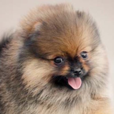 Profile Picture of Max Crouch (@maxis_limitless) on Twitter