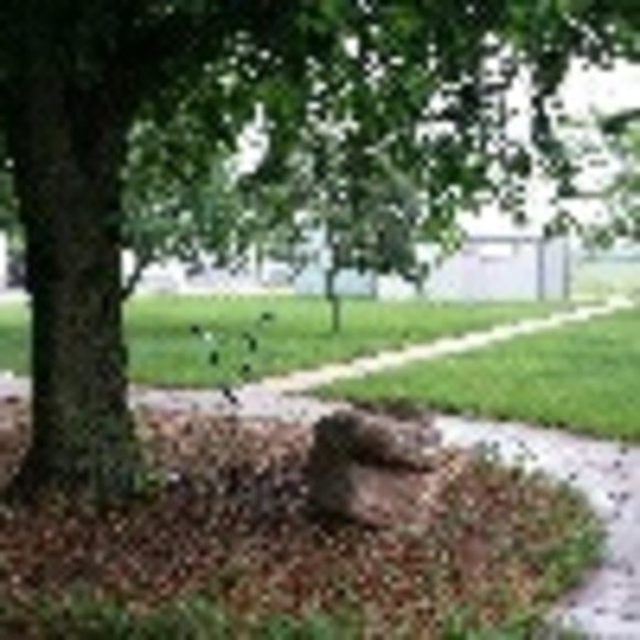 Profile Picture of Deb Melsha (@ccaboys2) on Poshmark