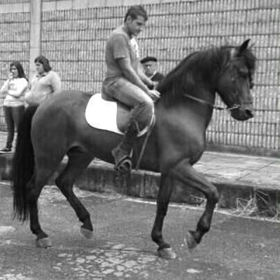 Profile Picture of Kevin Canto (@KevinCobos99) on Twitter