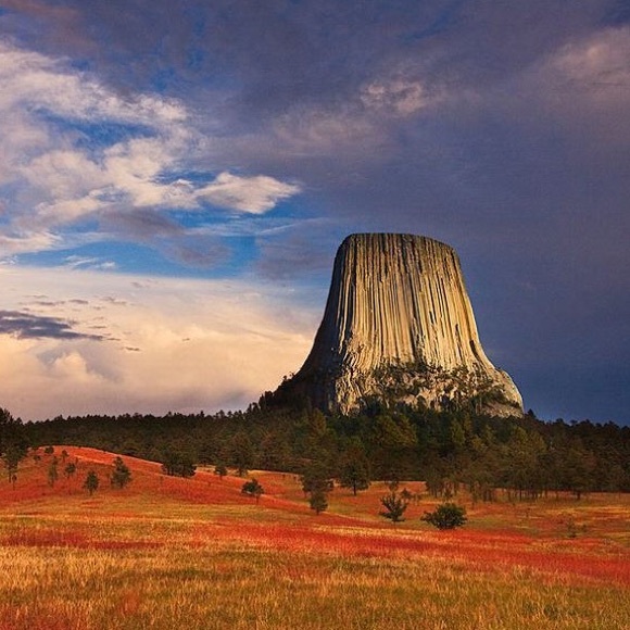 Profile Picture of Sayan Chakraborty (@sayanc) on Poshmark